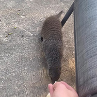 Kruger Park Hostel Instagram