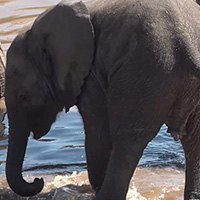 Kruger Park Hostel Instagram