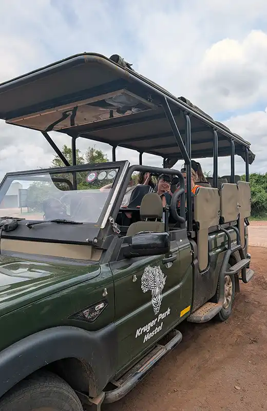 Full day open vehicle safari in Kruger National Park from Marloth Park