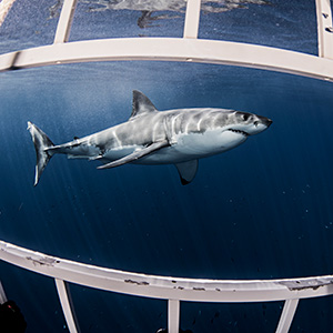 10 Cool Things To Do In South Africa