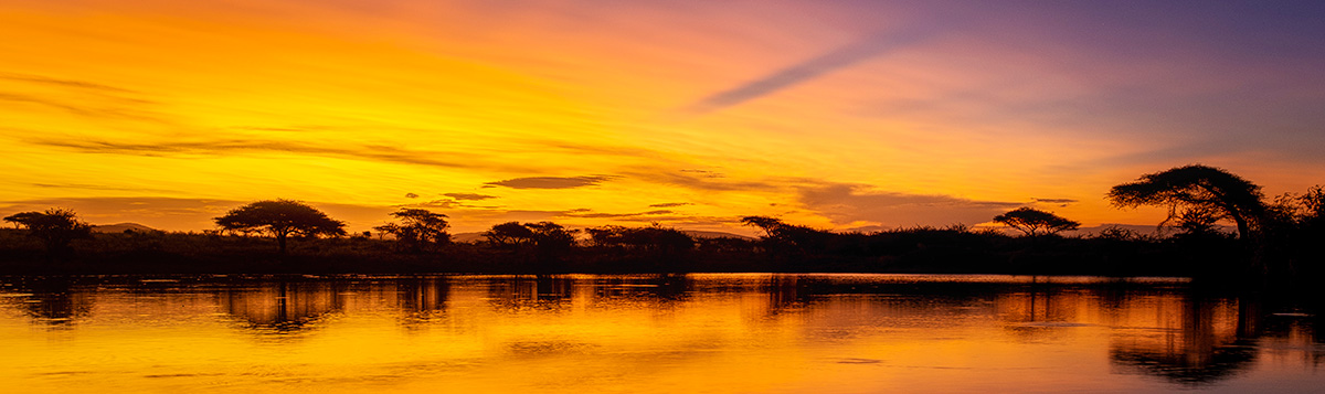 Sunset over the bush in South Africa