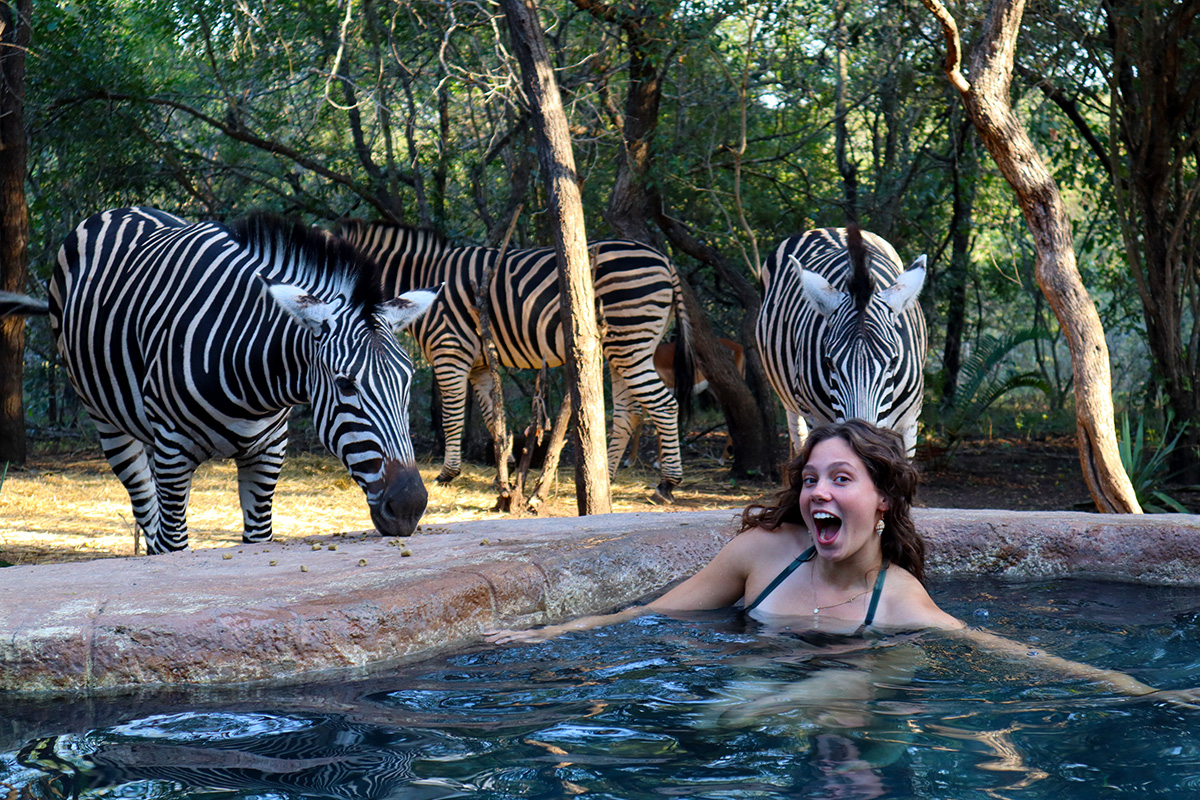 Enjoying the swimmingpool with Zebra in the background, this is what hostel life in the bush should be like