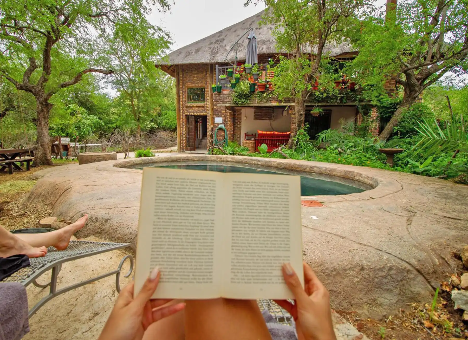 A slow safari moment at Kruger Park Hostel — cooling off by the pool with a book in hand, while wild Africa carries on just beyond the trees.