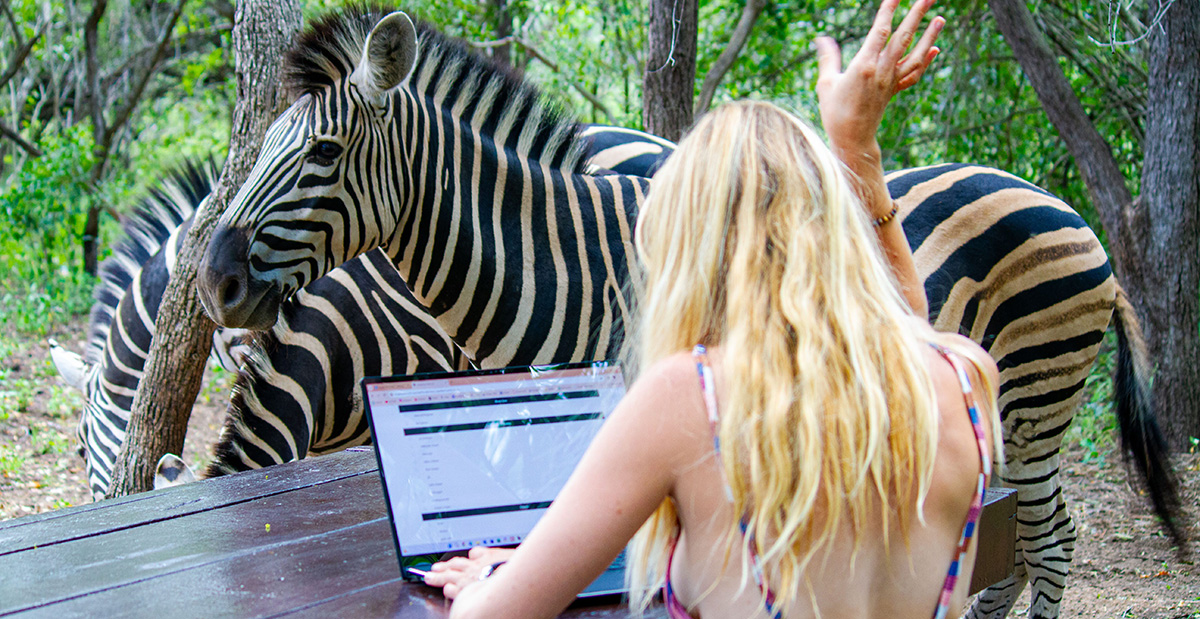 Zebra checking you out while you are working in the garden