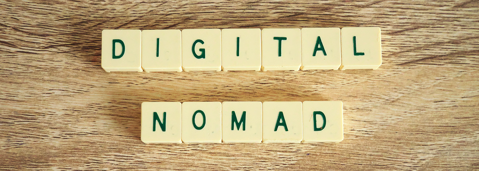 The Gateway to a Balanced Life with being a Digital Nomad in Africa on Safari