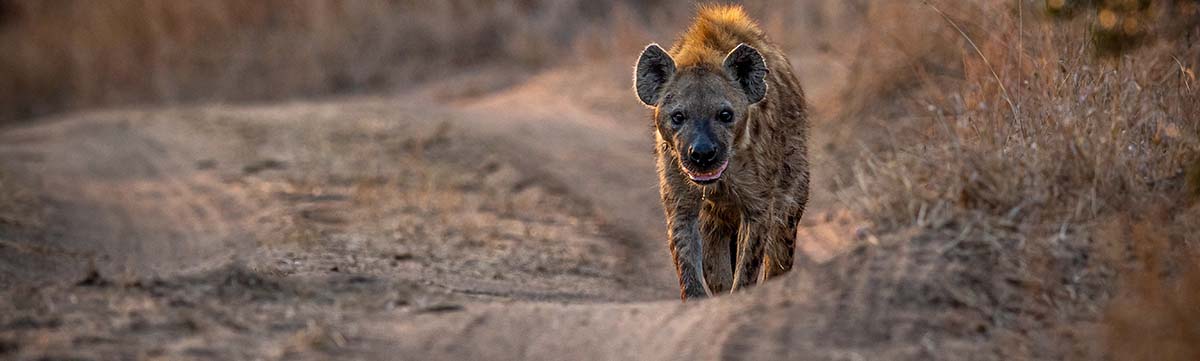 The Transitioning Autumn (March to May)