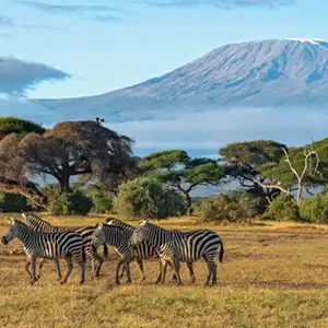 Masai Mara Vs Kruger Park For Backpackers - Kruger Park Hostel blog article