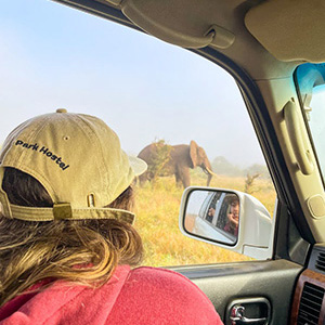 Safari Saga With Rene And Co