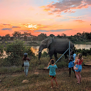 Sunset Walks And Sundowners