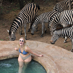 Ultimate Gateway To Adventure