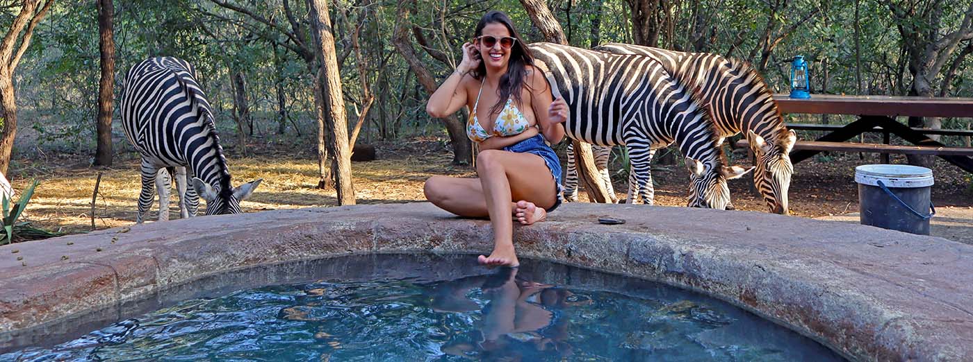 Relaxing at the pool after game drive with the zebra in the background