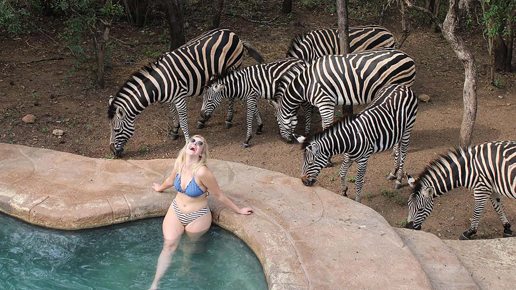 Pool day… but make it wild Who needs a view when the view comes to you?