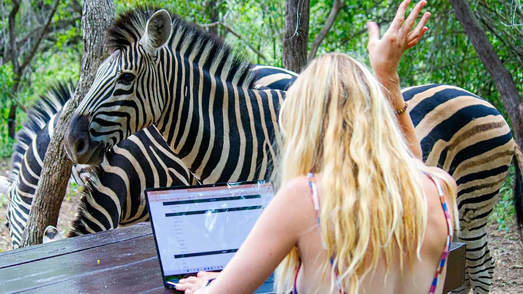 Remote work… just with a few unexpected co-workers showing up