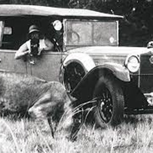 History Of Kruger Park