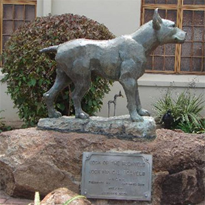 Jock Of The Bushveld