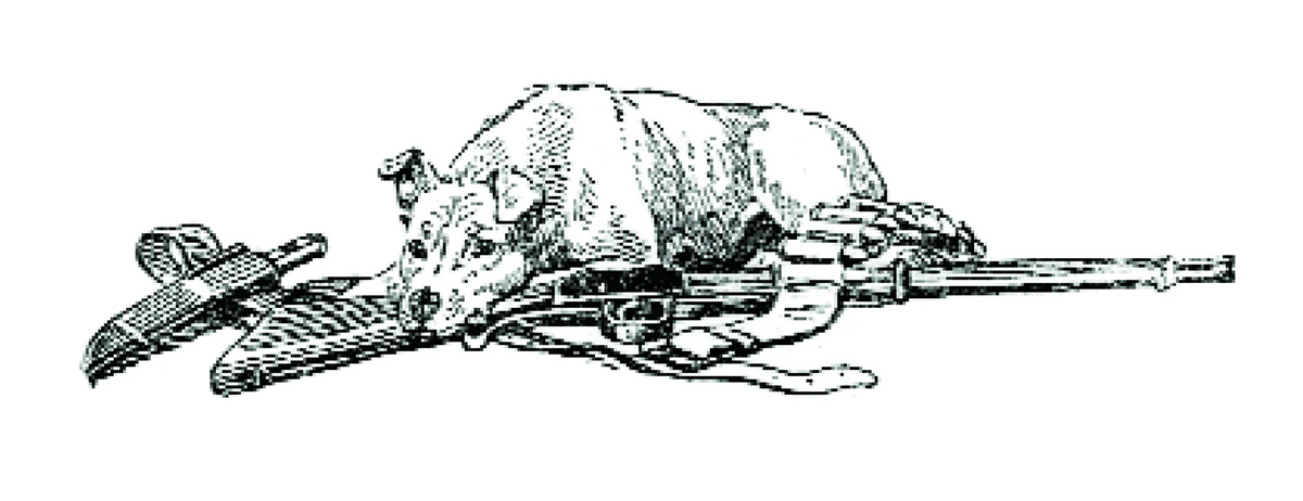 Jock of the Bushveld Sketch