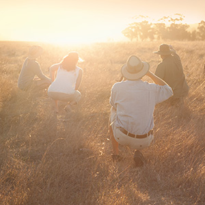 What Not To Do On Safari