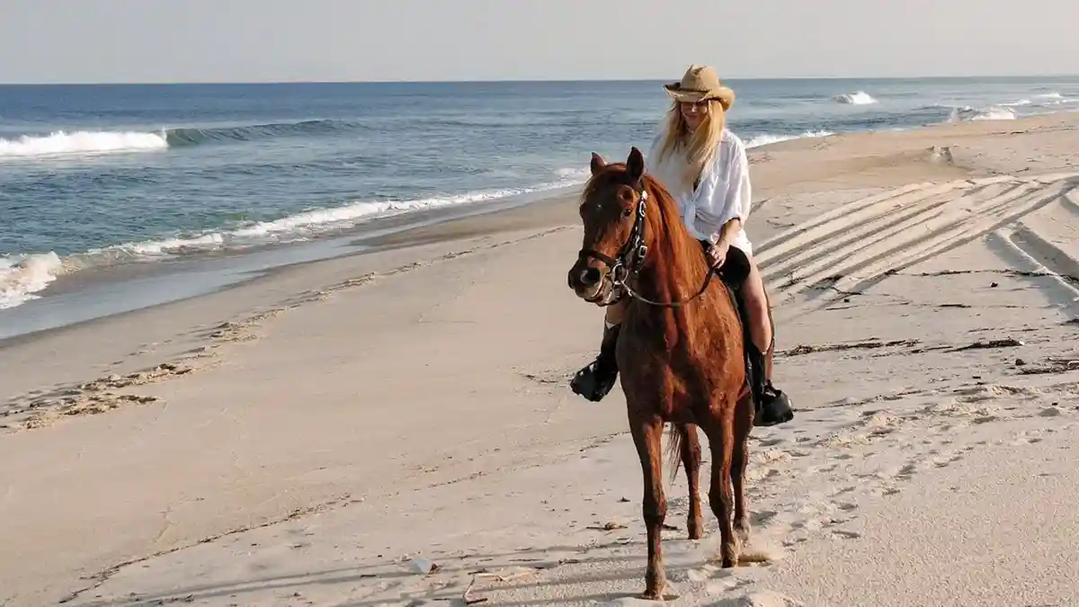 Guest Riding A Horse On The Beach