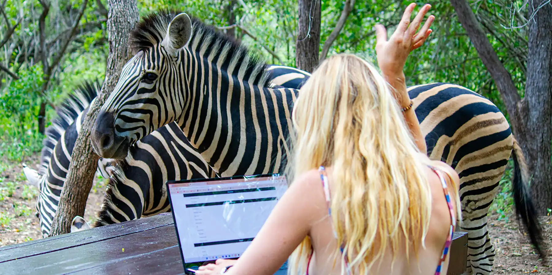 Guest using laptop at Kruger Park Hostel in Marloth Park, Mpumalanga, South Africa